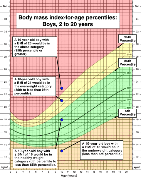 Childs Body Mass Index Chart