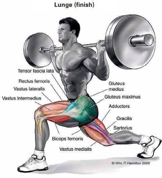 the different muscles worked by Split Lunges https://get-strong.fit