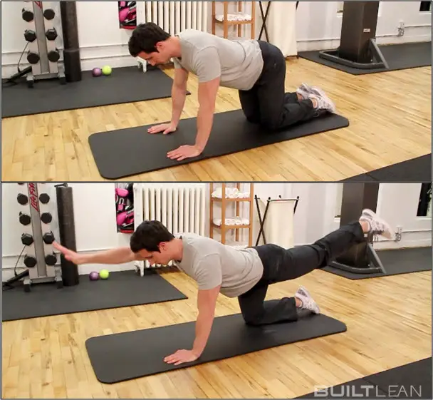 woman showing how to do the Bird Dog Plank Exercise