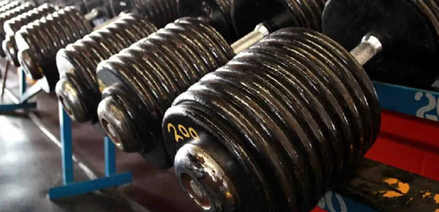 dumbbells lined up on a rack icon https://get-strong.fit/Fitness