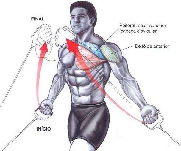 muscles worked by the Low Pulley Cable Crossover https://get-strong.fit/Low-Pulley-Cable-Crossovers-How-to-Guide/Exercises
